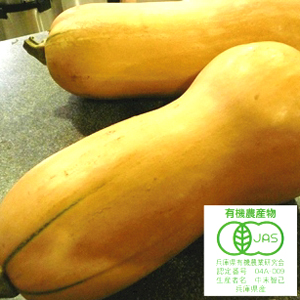 丹波篠山産 有機バターナッツかぼちゃ