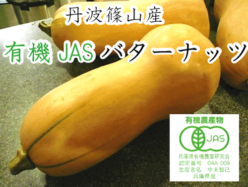 丹波篠山産 有機バターナッツかぼちゃ