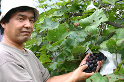 生産者の荻野さん