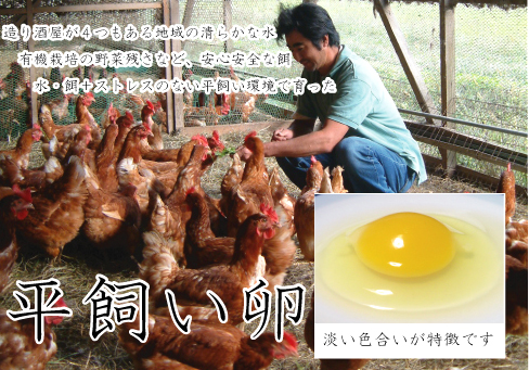 丹波　橋本農園の平飼い卵