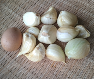 ジャンボにんにく　卵と比較