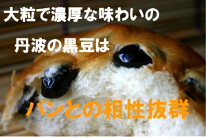 黒豆パン 丹波 通販
