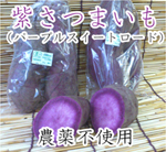 丹波産　無農薬紫さつまいも　パープルスイートローズ