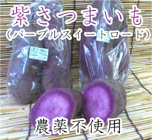 無農薬 紫さつまいも