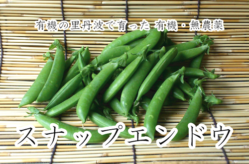有機・無農薬栽培スナップエンドウ　えんどう豆