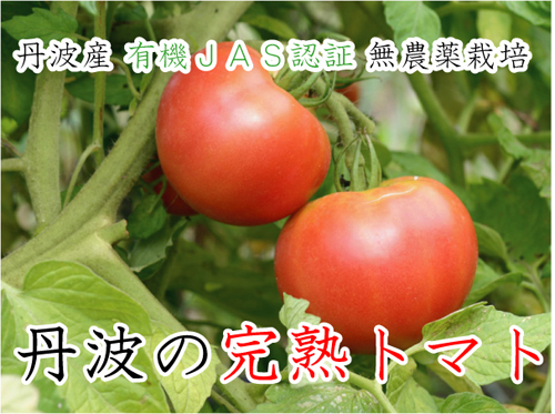 有機トマト　通販