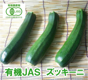 有機ズッキーニ 通販