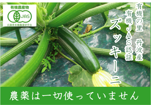 有機ズッキーニ 通販