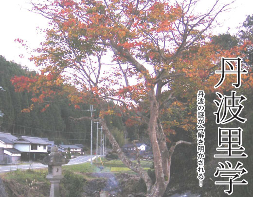 春の丹波を楽しもう 桜・お花見特集