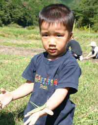 子ども ばった ダッシュ村