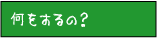 何するの？